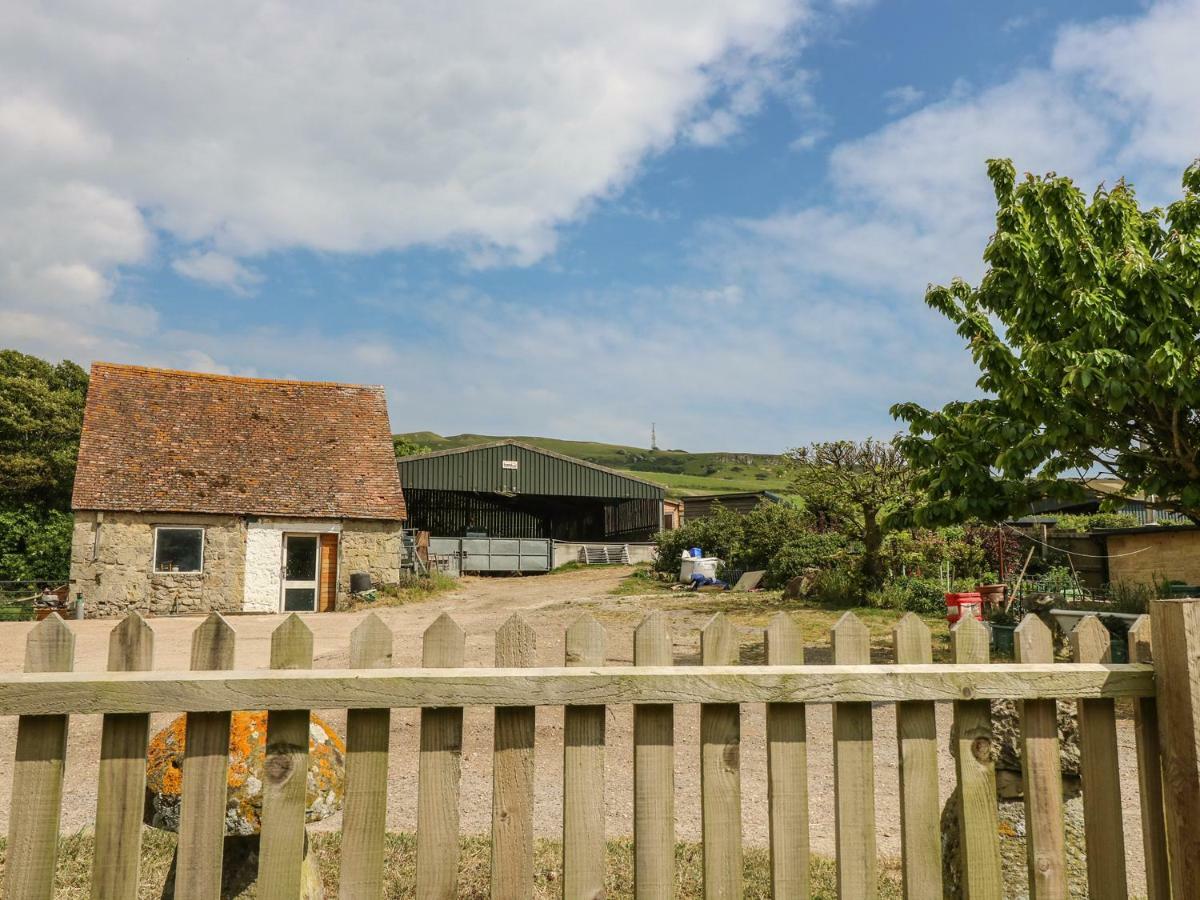 Chale Farm Lodge Ventnor Exteriör bild